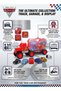 McQueen Storage Transporter Truck Playset with 5 Mini Character Cars – Large Red Semi Truck Transporter Case with Fold-Out Loading Ramp & Carrying Handle | Best Collectible Vehicle T - 3