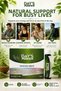 Day’S Power Matcha Shot 7 Pieces - Detox Effect with Bromelain, Ginger & Green Tea Support - 6