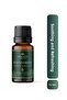 Rainforest Essential Oil 10 ml – Natural Essential Oil |   Aromatherapy, Diffuser, Incense Burner