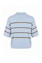 Light Blue Wardrobe Essentials Summer Yarn Striped Polo Collar Blouse Twoss26Bz00127 - 8