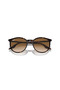 Rayban Rb2204 90251 54 Unisex Sunglasses - 5