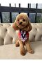 Red and White Small Breed Plaid Dog Bandana with Bow Tie Vera Paws – Stylish Tuxedo Design Accessory
