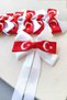 Moon-Star Patterned National Holiday Hairpin with Automatic Mechanism, Special Design Girls' Hair Accessory, 1 Piece - 3