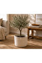 Jute Wicker Multi-Purpose Decorative Organizer Flower Pot Basket Garden Organizer Basket Width 30 Length 25 cm - 5