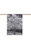 Black Peach Tree Pattern Winter Shawl - 3