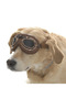 Dog Sunglasses Sakari - 4