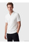 Trendlucky Standard Fit Polo Collar Structured Men's T-Shirt with Difference