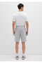 Gray Basic Shorts -066935-35010 Model - 4