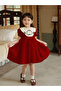 Girls Embroidered Puff Sleeve Dress