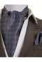 Silver Gray Jacquard Woven Geometric Men's Accessory Scarf, Shawl, and Handkerchief Set - 2