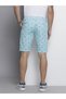 Men Blue Slim Fit Printed Shorts - 3