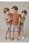 Organic Embroidered Brown Summer Little Boys' T-Shirts
