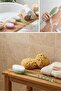 فرشاة تنظيف الجسم بمقبض بلاستيكي - أداة متعددة الاستخدامات للاستحمام وتنظيف الظهر والجسم - 2