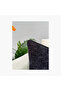 Solid Filled Cushion - 45x45 cms - 6