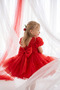 Girl's Princess Dress with Buckle, 3D Roses, Layered Tulle, Bow Detail, Birthday Party Wedding Special Occasion Dress, Ages 2-5 - 2