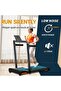 Body Strong Walking Pad 2 IN 1 Folding Treadmill JC-590F - 2