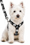 Chest Harness and Travel Strap Set with 2 Wooden Coasters as a Gift - 2
