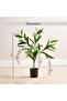 Artificial Bridal Veil Jasmine Plant In Pot H60cm - White - 6