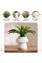 Aloe Artificial In Ceramic Pot 30.5x30.5x22.5cm - Green - 4