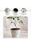 Alban Ceramic Planter 28.5x28.5x24cm - Green - 5