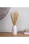 Tessi Dried Bouquet H50cm - Bleach