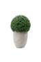 Artificial Boxwood Ball In Ceramic Pot H55cm - Green - 3