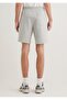 Printed Regular Waist, Slim Straight, Flat Leg Shorts - 3
