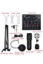 Multi-functional Live Sound Card + Microphone Kit Suspension Transmission Recording Condenser Microphone Set - 3