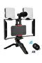 Multi-Purpose Adjustable All-in-One Video Making Kit with 2 LED Lights, Grips, and Microphone