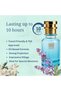 Alcohol-Free Oil-Based Perfume for Men – Inspired by Blue D– Fresh Citrus, Woody & Spicy Aromatic Fragrance – Long-Lasting 8–9 Hour Signature Scent for All-Season Wear - 6