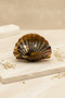 Stylish and Durable Hair Clip with Sea Shell Pattern - Ideal for Everyday and Special Occasions - 5