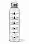 Mien 1000 ml Glass Flask H2O Motivational Water Bottle with Time Marker Transparent Glass Water Bottle with Gray Lid