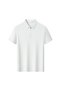 Arw86291 Seri̇ntutan--High Quality Men's Polyamide Polo Collar Tshirt with Zipper