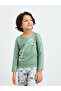 Boys Dino Print Long Sleeves T-Shirt and Straight Leg Pyjama Set - 3