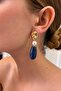 Steel rosalie earrings - 2