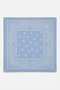 Unisex Blue Shawl Patterned Scarf |   Daily Hair Accessory, Neck Gaiter, and Outdoor Bandana
