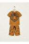 Boy's Shorts and T-Shirt Set - 2