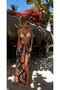 Royal Tropic