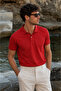 Men's 100% Cotton Standard Fit Polo Collar Basic T-Shirt - 5