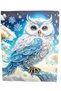 Diamond Mosaic Painting, 30X40 White Owl Bead Gluing Kit - 2