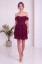 Women's Corset-Look Layered Skirted Lace Mini Dress Brown, Aqua Green, Ecru, Black, Burgundy - 4
