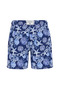 Swimtrunk Men's Swim Shorts - 3