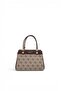 Dark Beige - Brown Monogram Women's Handbag Sp1293