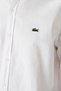 Men's Regular Fit Shirt Organic Cotton Men's Shirt White - 4