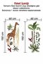Safari Tropical Animals And Trees Kids Baby Room Wall Sticker - 4