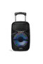 Karaoke Party Trolley Speaker with Wireless Mic, USB, SD, FM, LED & Bluetooth - 2