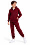 Boy's 2 Thread Seasonal Hooded Zippered Tracksuit Set G2027-10 - 2