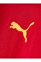 Galatasaray Puma Culture T-Shirt 78684701 - 6