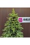 Brad artificial Sersimo, Marilis Elite, verde, complet 3D, 230 cm - 6