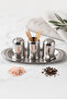 10-Piece Small Size Stainless Steel Spice Rack Set with Tray Metal Spice Container Restaurant Diner Cafe Hotel Home Use - 2